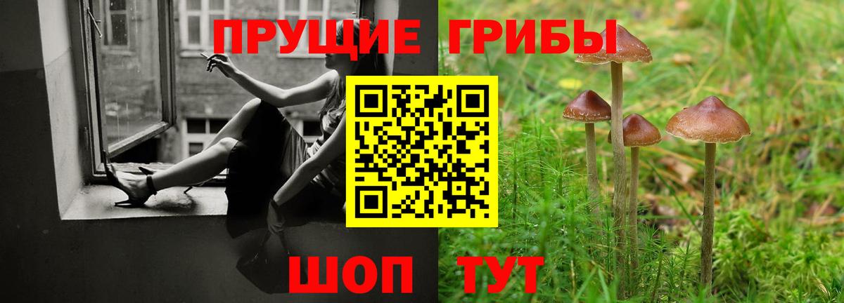 Кандалакша  Галлюциногенные грибы MAGIC MUSHROOMS  Вход с VPN  Псилоцибиновые грибы Magic Shrooms 